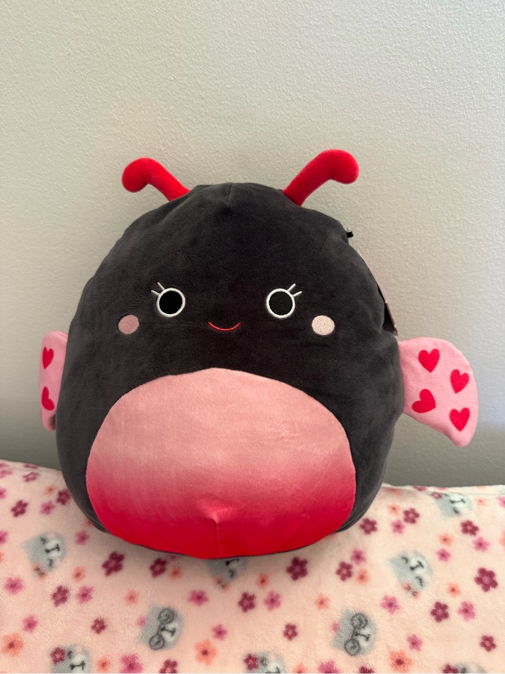 Squishmallows Black, Pink & Red Ladybug Plush "Ladee"